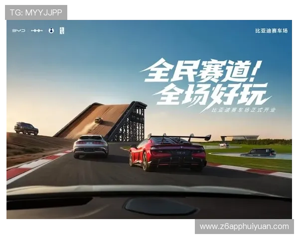 尊龙凯时完美体育平台网页版：全面解析平台优势与使用指南