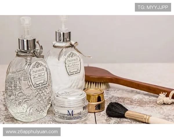 尊龙集团网页版登录官网操作指南：详细步骤帮助新用户快速上手