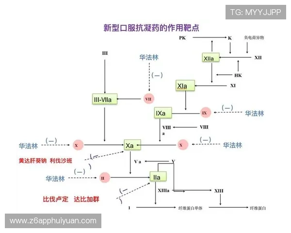 凯时注射液的副作用、药物相互作用及安全用药建议